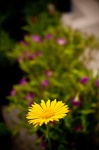 DSC_7831.jpg